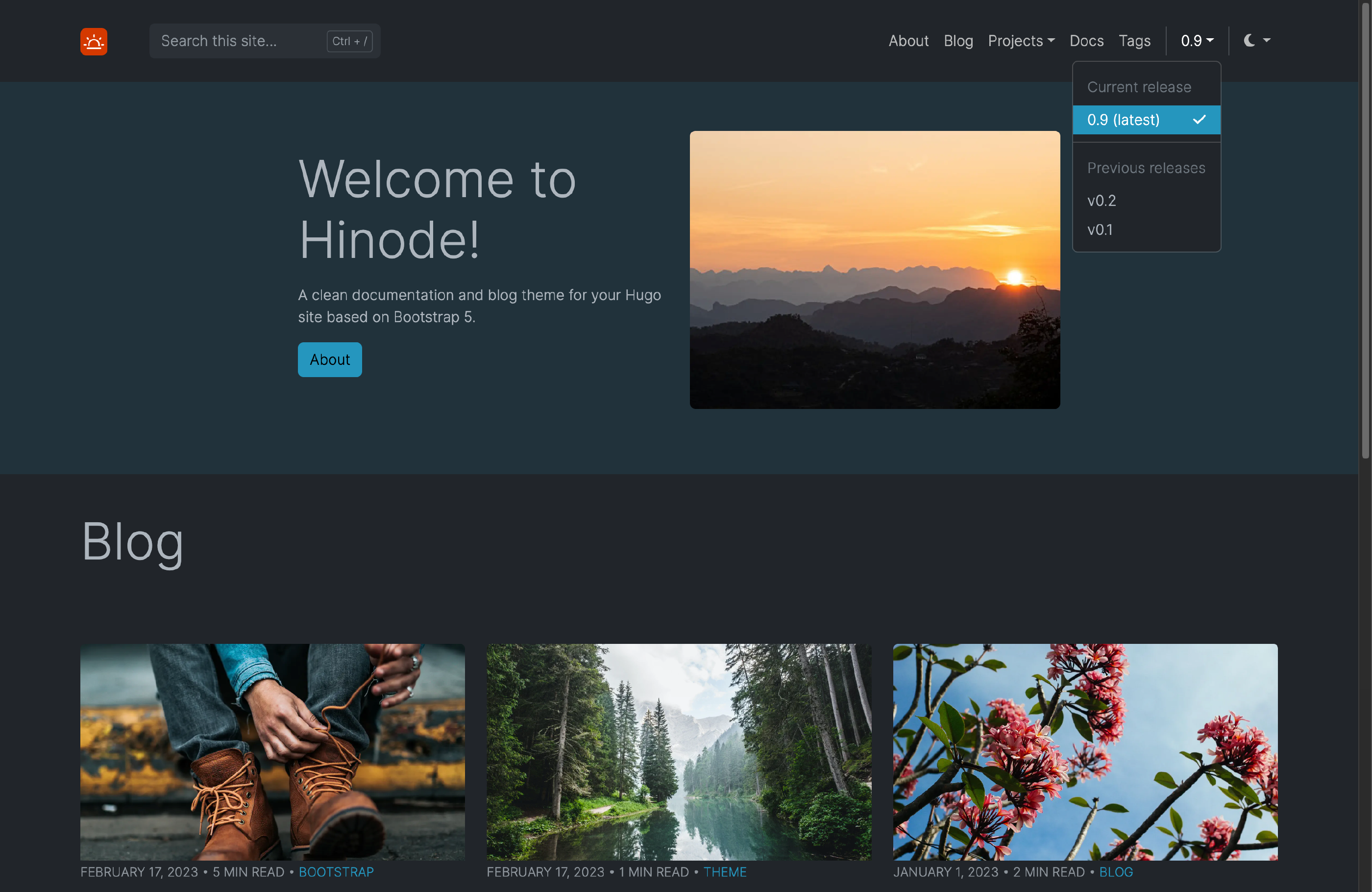 Branch-Deployed Site for Release V0.9